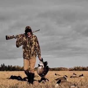 Meet your Posher, Nolan